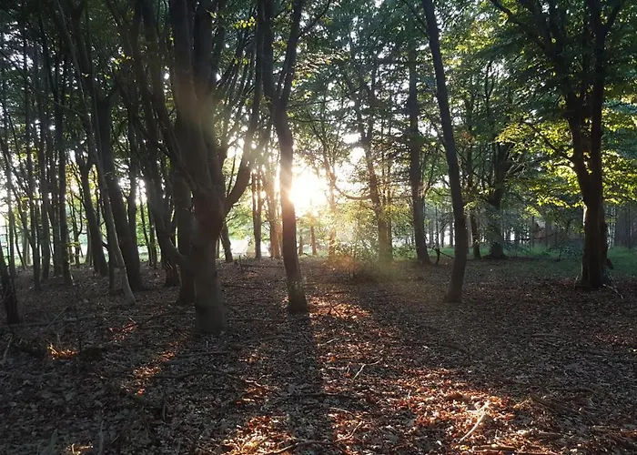 Glamping Pod Im Wald