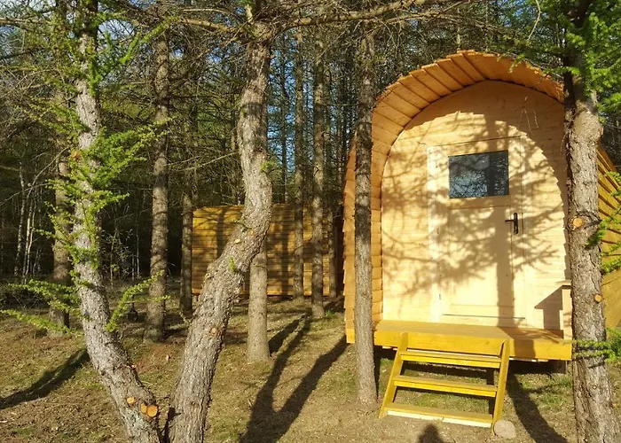 Glamping Pod Im Wald