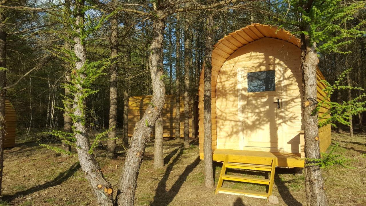 Glamping Pod Im Wald Nordholz